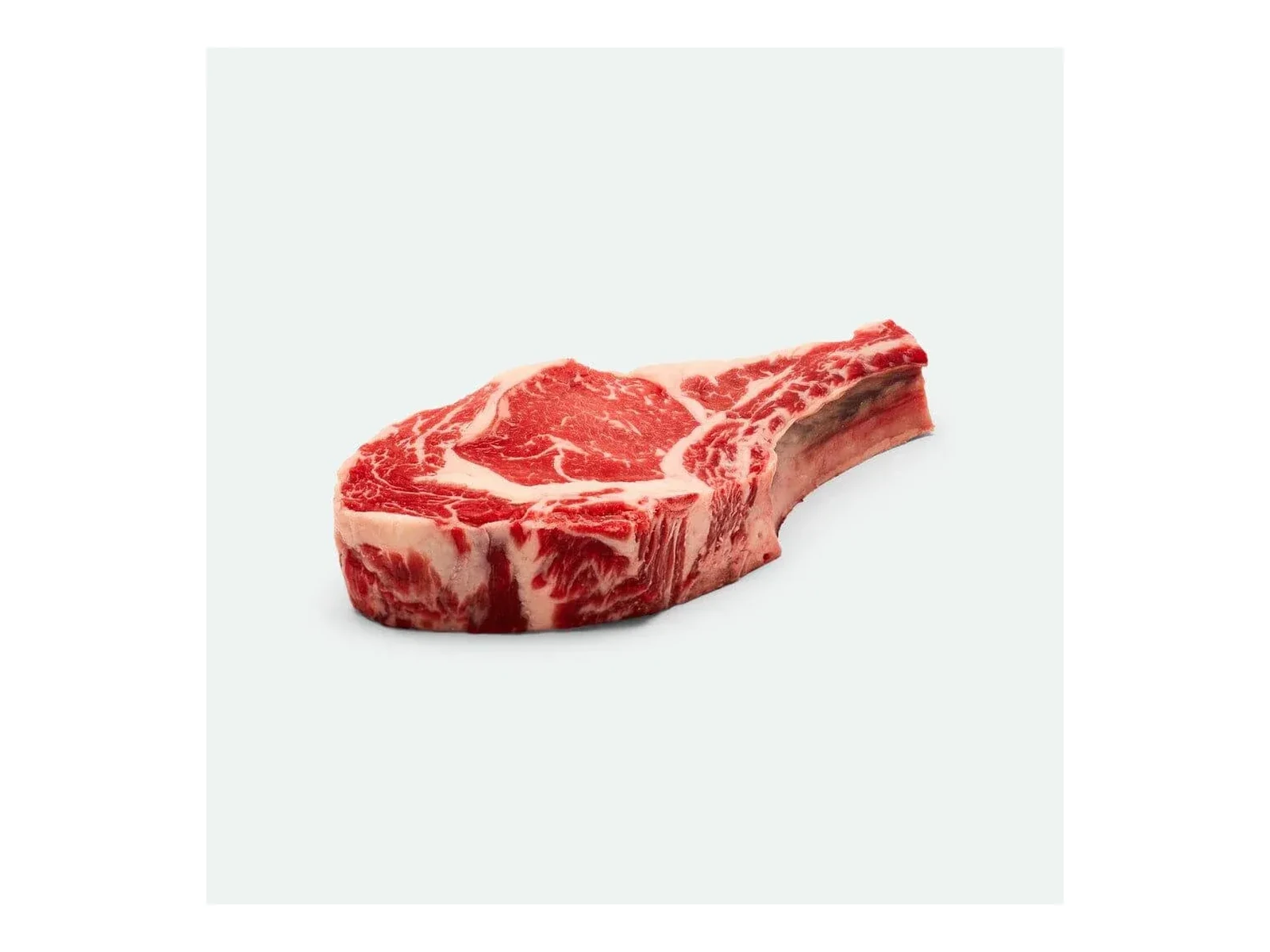 Beef Chuck Roll Primal for DIY Pitmasters (5kg)